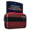 Saregama Carvaan Karaoke